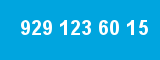 929 123 60 15